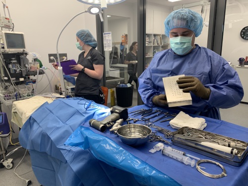 Orthopaedic Surgery