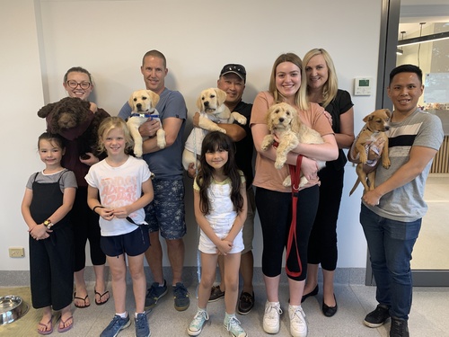 Puppy School